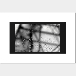 Black & White Photograph Dew Art Spider Web Spooky Halloween Photography Abstract Posters and Art